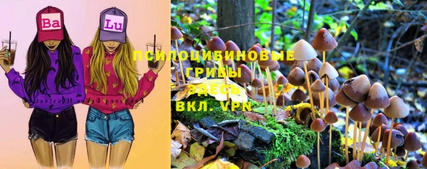 герыч Аркадак